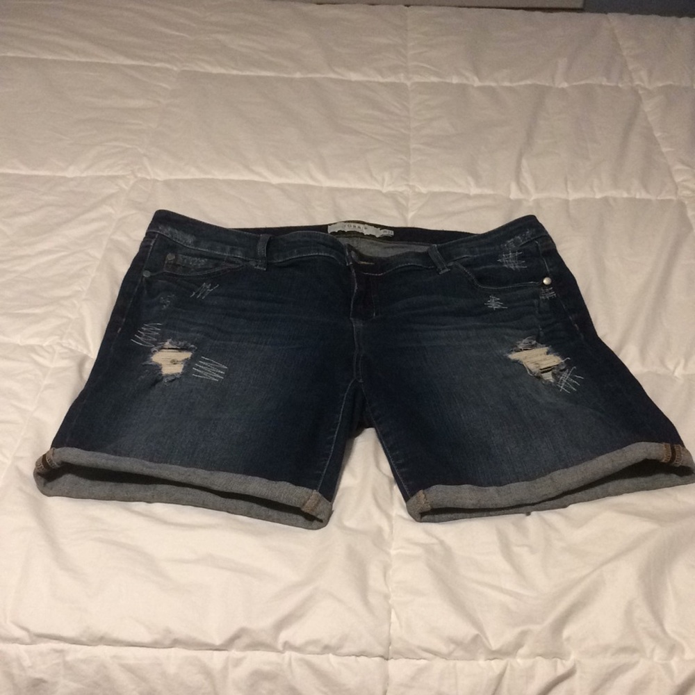Torrid shorts